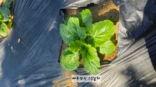 최석주님의 작성글 사진