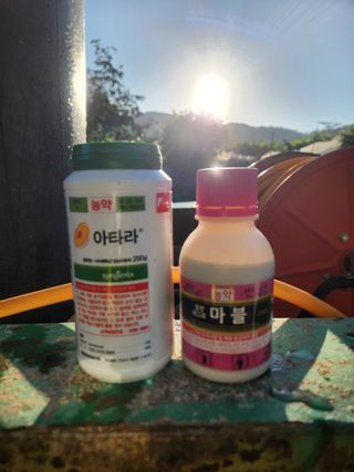 이경문님의 기타작물 · 영농일지 작성글 사진