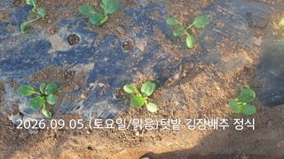 김응균님의 벼 · 영농일지 작성글 사진