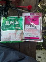 팜모닝 사과·영농일지 게시글 이미지