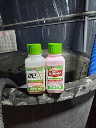 딱따구리님의 기타작물 · 영농일지 작성글 사진