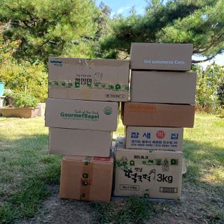 삼성농산님의 파 · 영농일지 작성글 사진