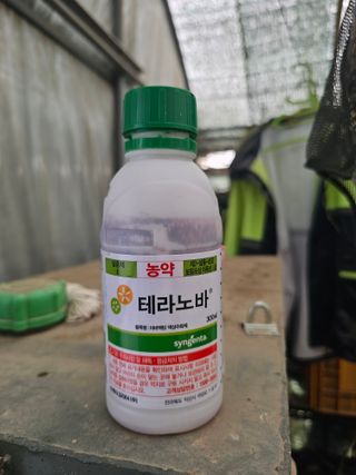 김상엽님의 딸기 · 영농일지 작성글 사진