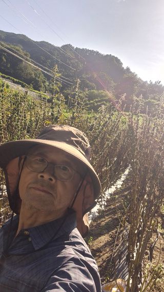 장봉덕님의 참깨 · 영농일지 작성글 사진