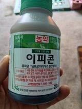 라이온3241님의 작성글 사진