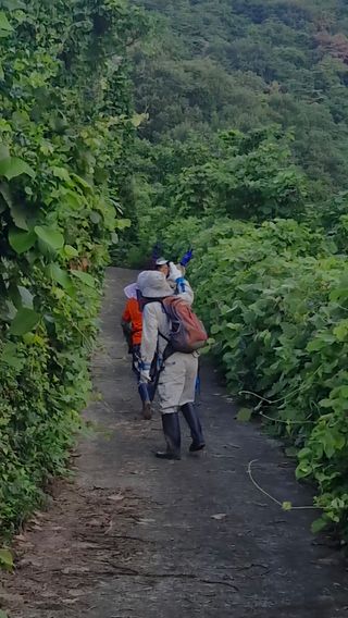 김동명님의 기타작물 · 영농일지 작성글 사진