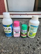 안종범님의 작성글 사진
