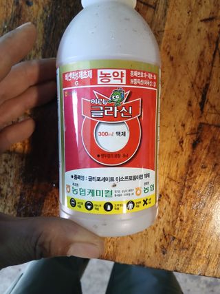 라이온3241님의 기타작물 · 영농일지 작성글 사진