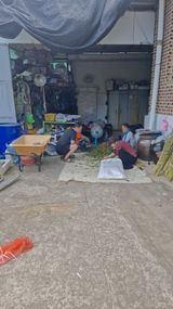 팜모닝 기타작물·영농일지 게시글 이미지