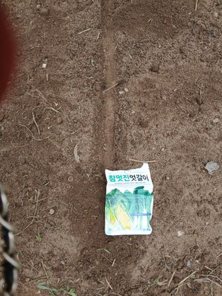 향양농장 사랑합니다님의 기타작물 · 영농일지 작성글 사진