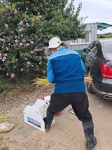 이복길님의 작성글 사진