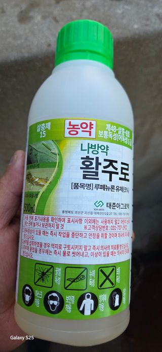 kia1588님의 작성글 사진