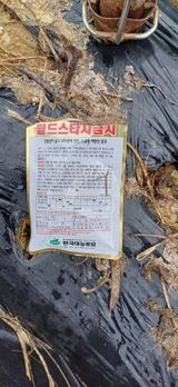 팜모닝 기타작물·영농일지 게시글 이미지