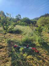 박병한님의 작성글 사진