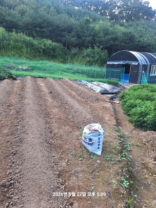 이수홍(이창희)님의 기타작물 · 영농일지 작성글 사진