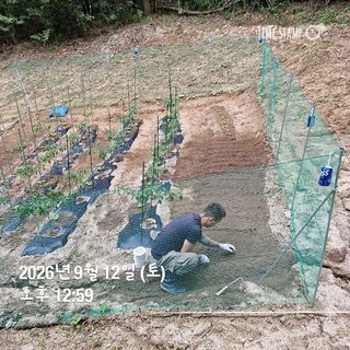 권영순님의 기타작물 · 영농일지 작성글 사진