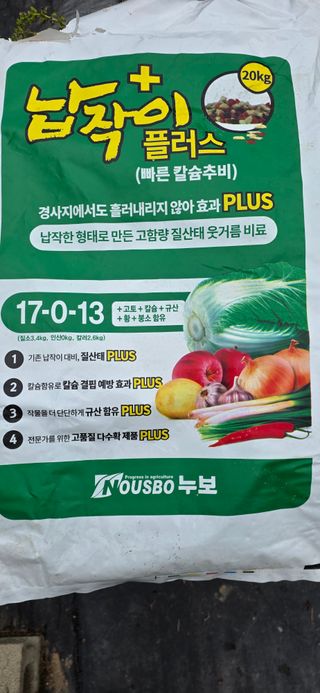 고구마15091님의 배추 · 영농일지 작성글 사진