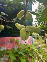 김명숙님의 작성글 사진