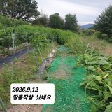 시민농장님의 작성글 사진