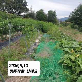 시민농장님의 기타작물 · 영농일지 작성글 사진