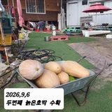 팜모닝 기타작물·영농일지 게시글 이미지
