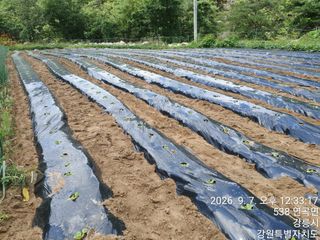 정승교님의 기타작물 · 영농일지 작성글 사진