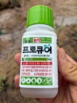 홍대기님의 작성글 사진