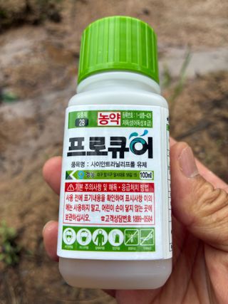 홍대기님의 배추 · 영농일지 작성글 사진