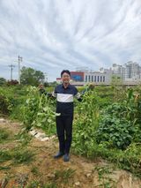 팜모닝 시금치·영농일지 게시글 이미지