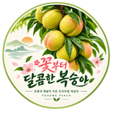 팜모닝 자두·영농일지 게시글 이미지