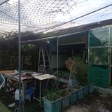 正覺님의 작성글 사진