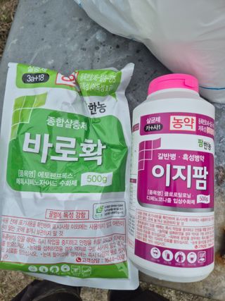 황창만님의 기타작물 · 영농일지 작성글 사진