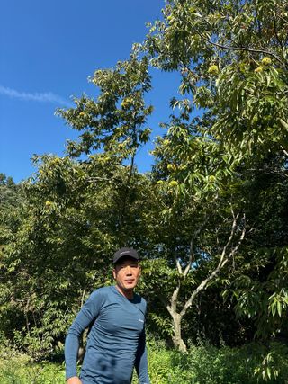 단감대봉시금치당님의 고추 · 영농일지 작성글 사진