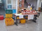 팜모닝 사과·영농일지 게시글 이미지
