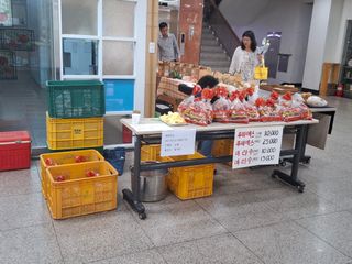 황의진님의 사과 · 영농일지 작성글 사진