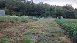 김정은님의 작성글 사진