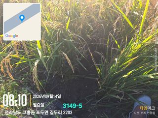 정정치님의 기타작물 · 영농일지 작성글 사진