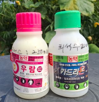 철남 김희곤님의 사과 · 영농일지 작성글 사진