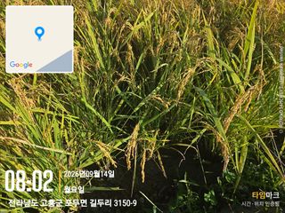 정정치님의 기타작물 · 영농일지 작성글 사진