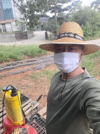 로만아빠님의 배추 · 영농일지 작성글 사진