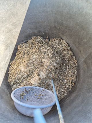주말농 젠바님의 기타작물 · 영농일지 작성글 사진