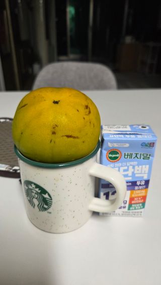 제키님의 기타작물 · 영농일지 작성글 사진