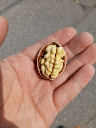 김건형님의 기타작물 · 영농일지 작성글 사진