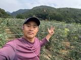 팜모닝 기타작물·영농일지 게시글 이미지
