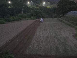 이남주님의 기타작물 · 영농일지 작성글 사진