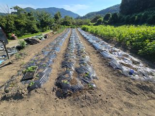 김윤중님의 작성글 사진