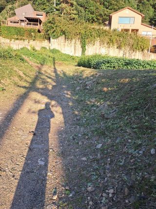 구강회님의 기타작물 · 영농일지 작성글 사진