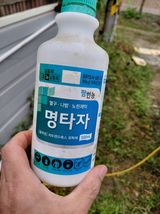 작은농부님의 작성글 사진
