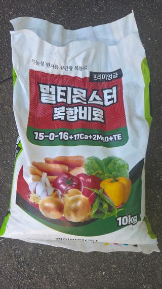  조약돌님의 배추 · 영농일지 작성글 사진