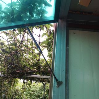 正覺님의 기타작물 · 영농일지 작성글 사진